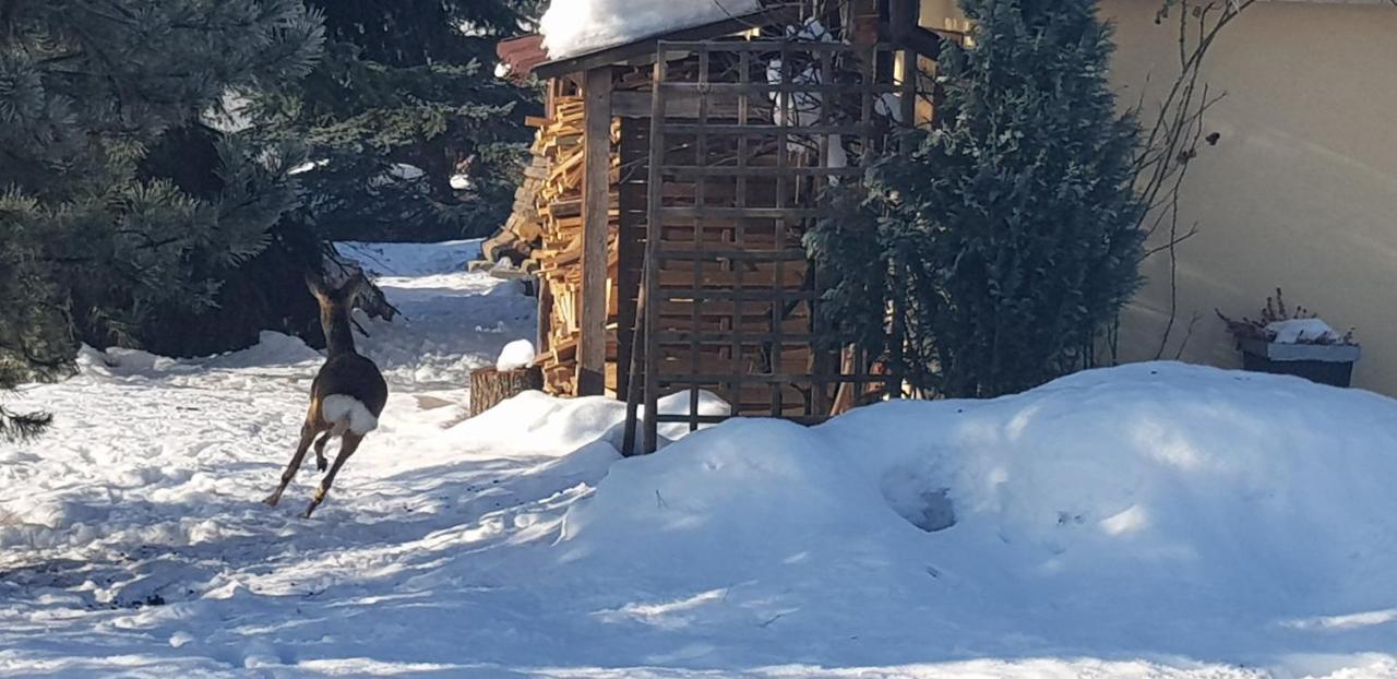 Dom Grabowa Z Sauna I Podgrzewanym Basenem Gilowice  Ngoại thất bức ảnh
