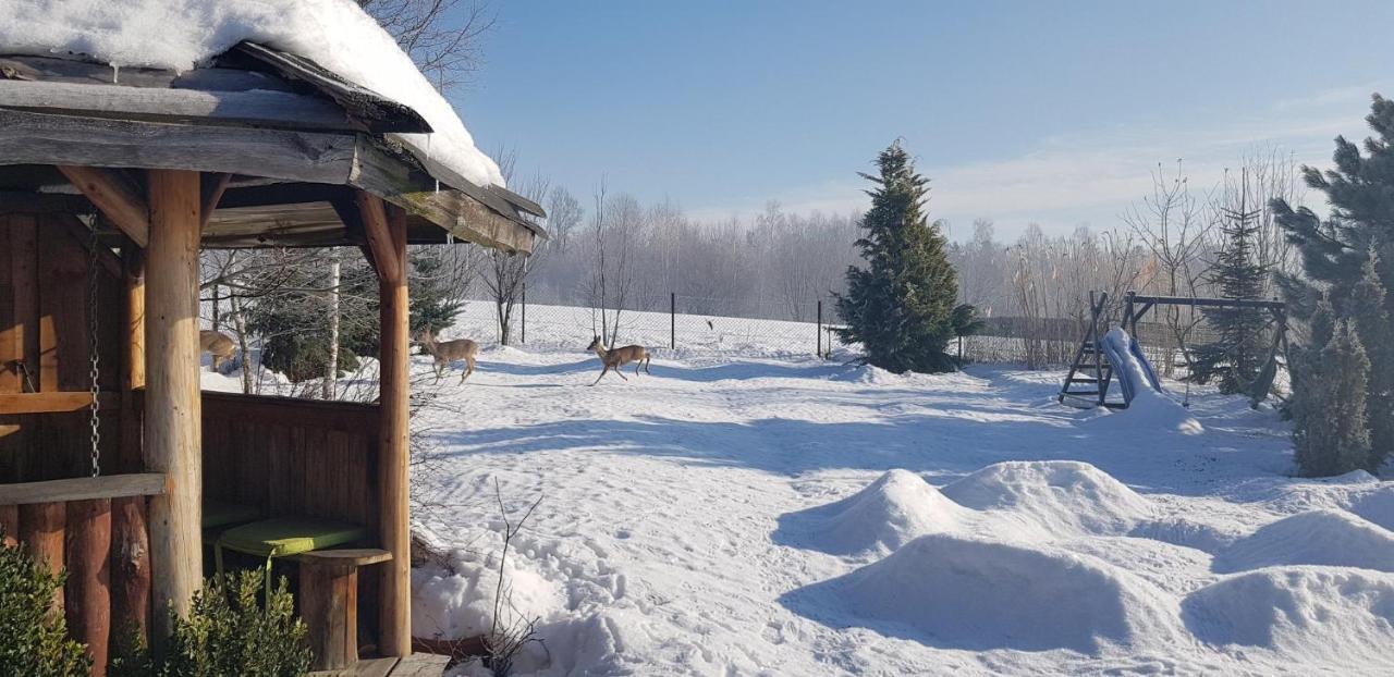 Dom Grabowa Z Sauna I Podgrzewanym Basenem Gilowice  Ngoại thất bức ảnh